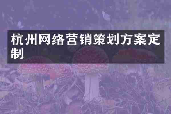 杭州网络营销策划方案定制