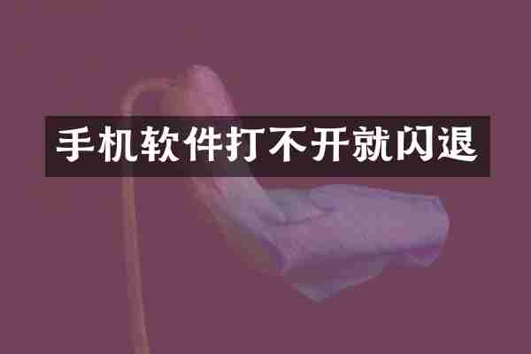 手机软件打不开就闪退