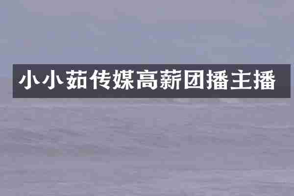 小小茹传媒高薪团播主播