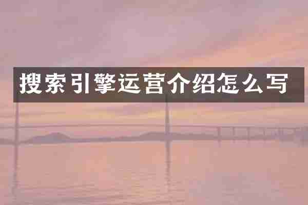 搜索引擎运营介绍怎么写