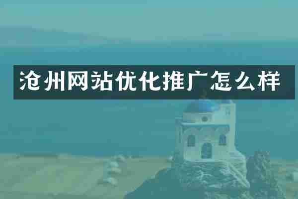 沧州网站优化推广怎么样