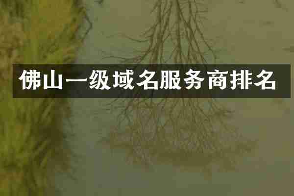 佛山一级域名服务商排名