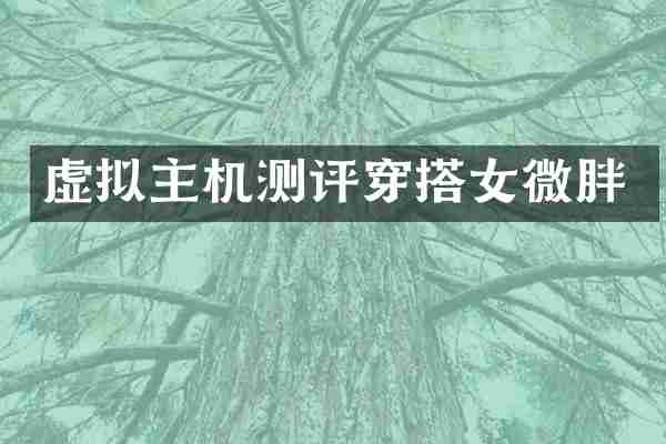 虚拟主机测评穿搭女微胖
