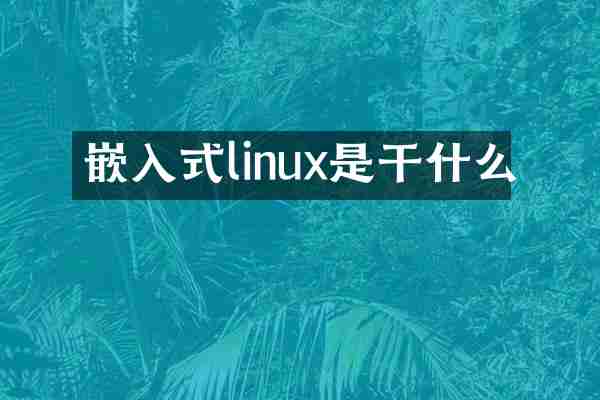 嵌入式linux是干什么