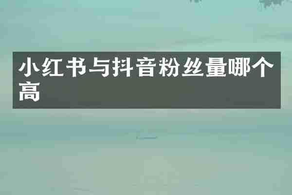 小红书与抖音粉丝量哪个高