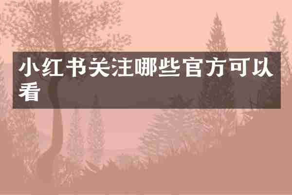 小红书关注哪些官方可以看