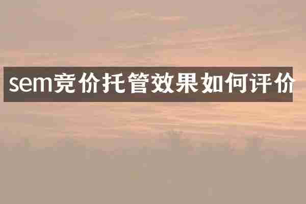 sem竞价托管效果如何评价