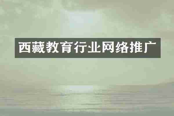 西藏教育行业网络推广