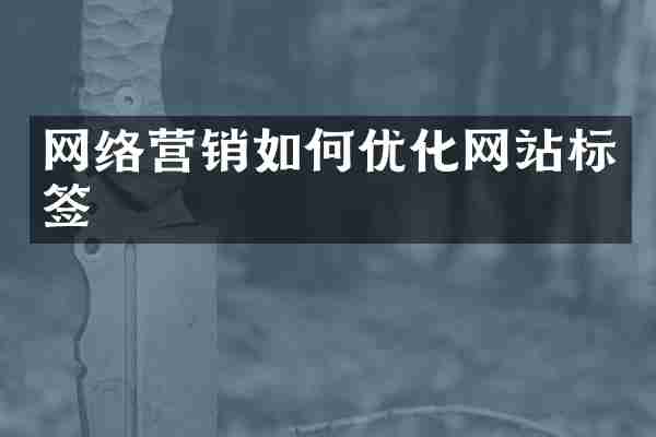 网络营销如何优化网站标签