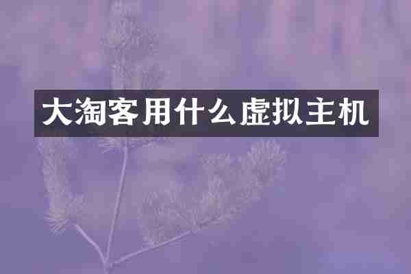 大淘客用什么虚拟主机
