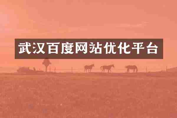 武汉百度网站优化平台