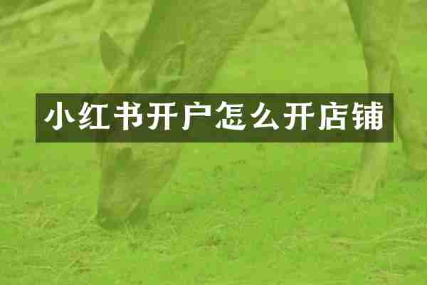 小红书开户怎么开店铺