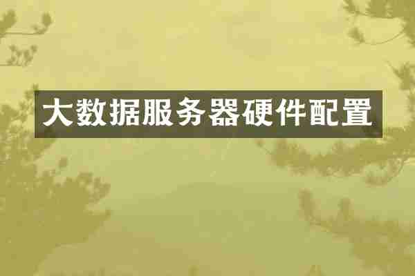 大数据服务器硬件配置