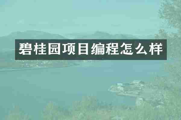 碧桂园项目编程怎么样