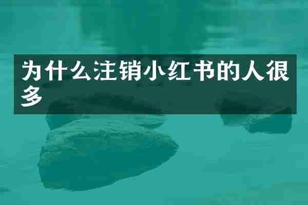 为什么注销小红书的人很多