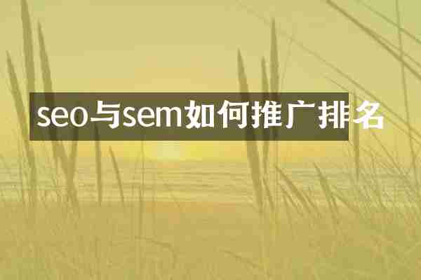 seo与sem如何推广排名