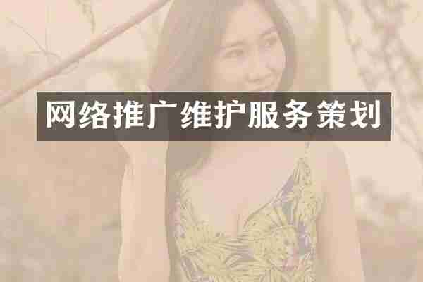 网络推广维护服务策划