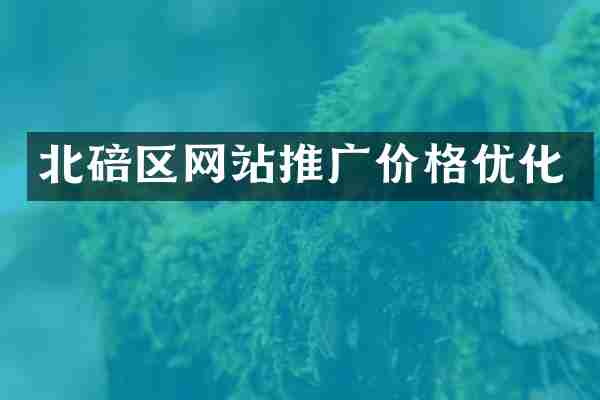 北碚区网站推广价格优化