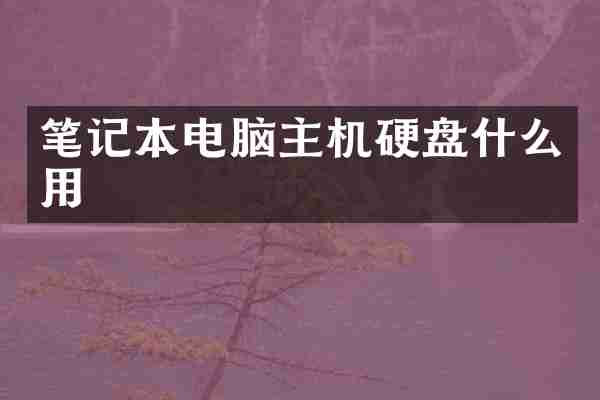 笔记本电脑主机硬盘什么用