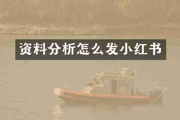 资料分析怎么发小红书