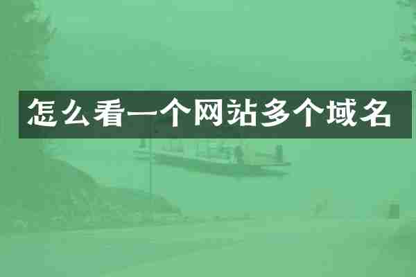 怎么看一个网站多个域名