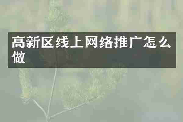 高新区线上网络推广怎么做