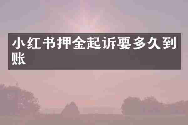 小红书押金起诉要多久到账