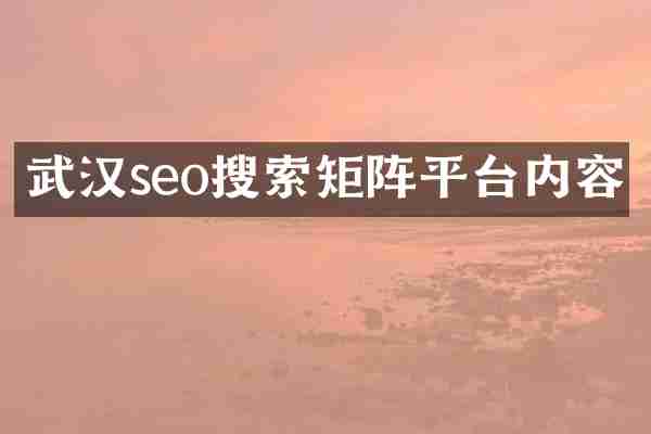 武汉seo搜索矩阵平台内容