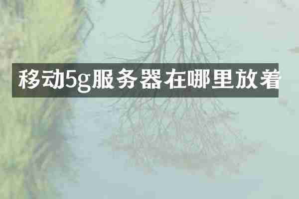 移动5g服务器在哪里放着