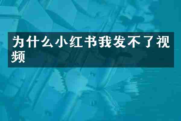 为什么小红书我发不了视频