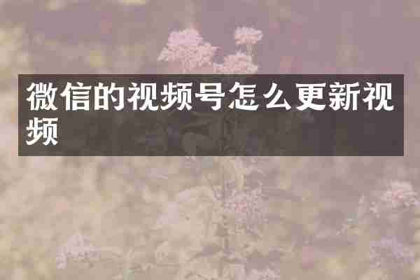 微信的视频号怎么更新视频