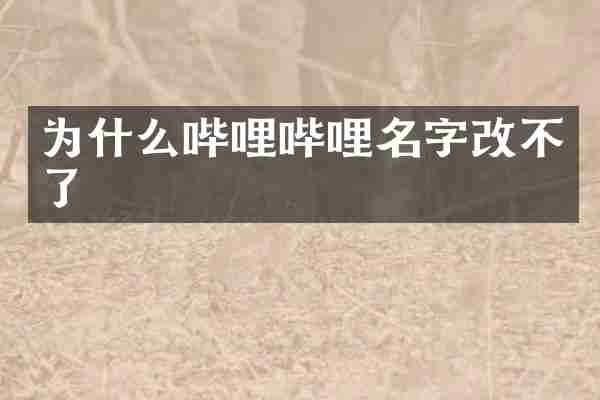 为什么哔哩哔哩名字改不了
