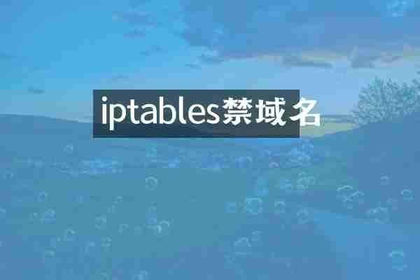 iptables禁域名