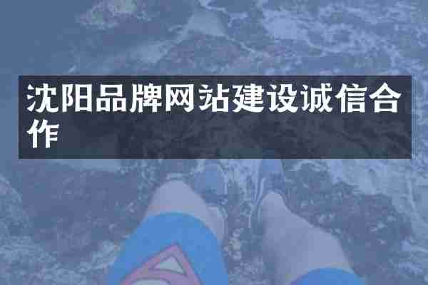 沈阳品牌网站建设诚信合作