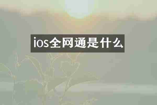 ios全网通是什么