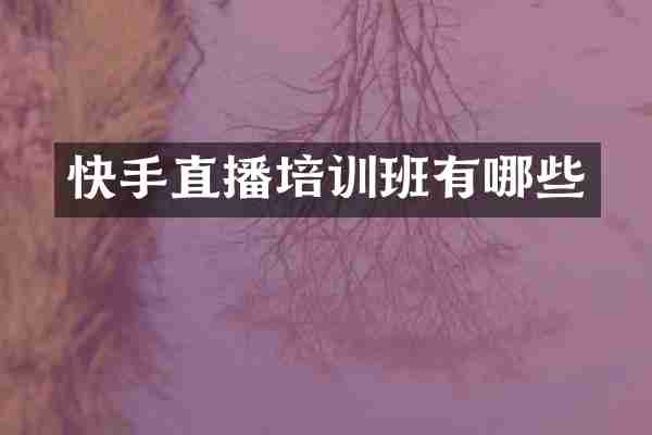快手直播培训班有哪些