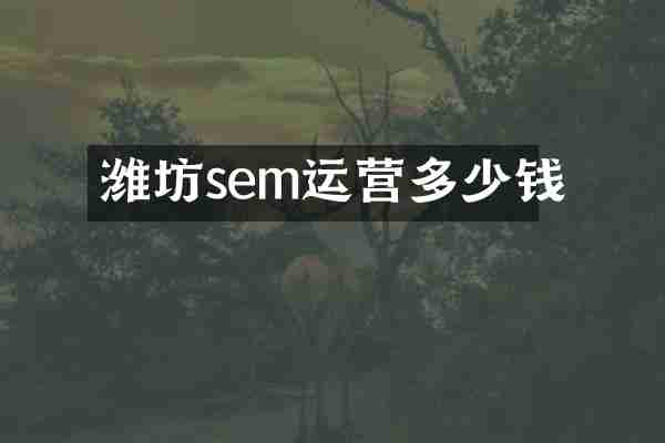 潍坊sem运营多少钱