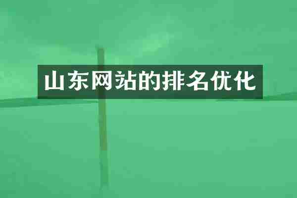 山东网站的排名优化