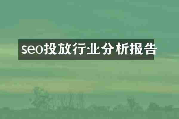 seo投放行业分析报告