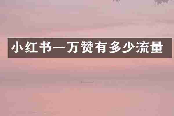 小红书一万赞有多少流量