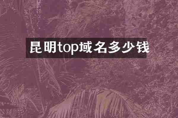 昆明top域名多少钱
