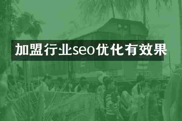 加盟行业seo优化有效果