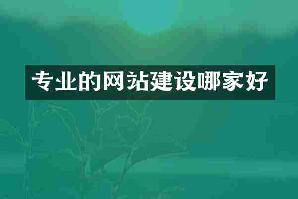 专业的网站建设哪家好