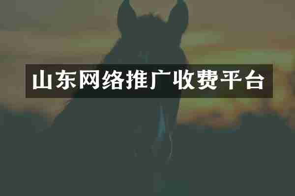 山东网络推广收费平台