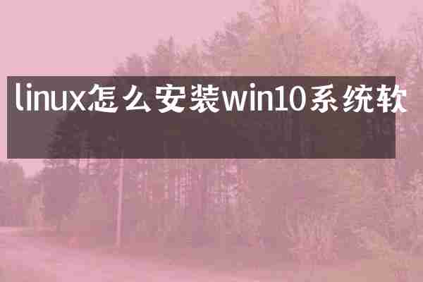 linux怎么安装win10系统软件