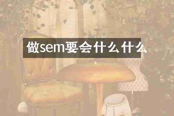 做sem要会什么什么