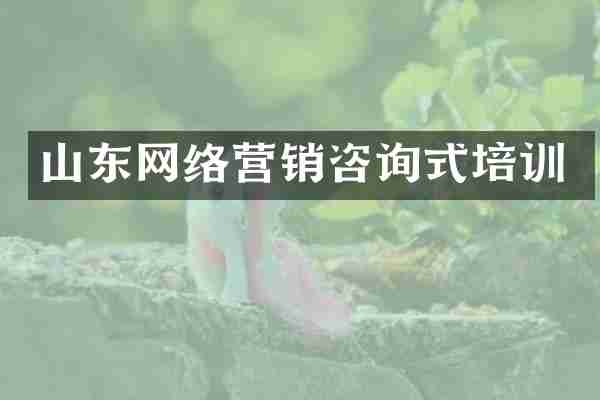 山东网络营销咨询式培训