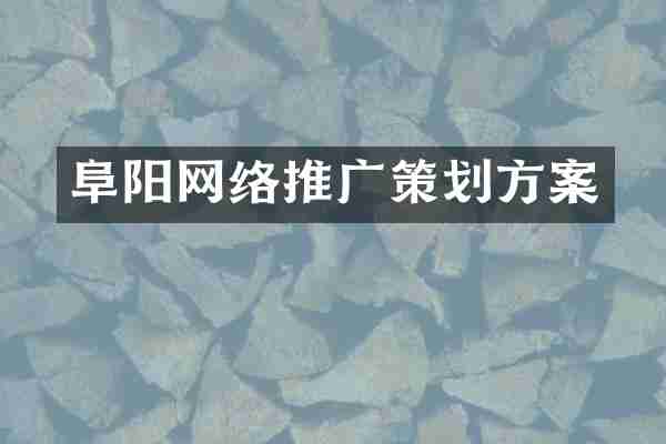 阜阳网络推广策划方案