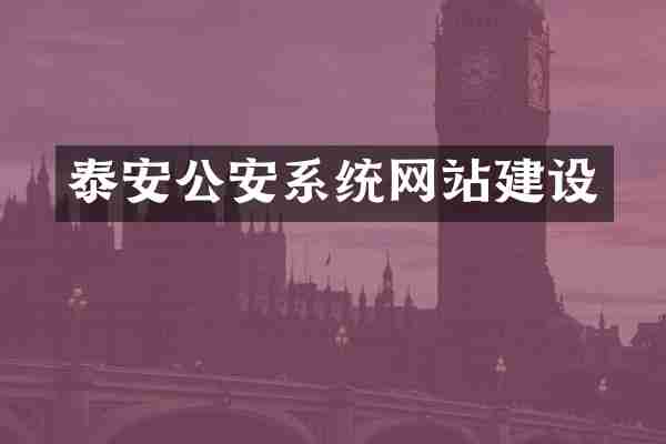 泰安公安系统网站建设