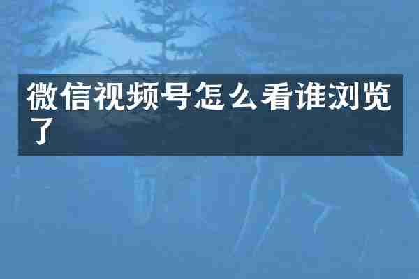 微信视频号怎么看谁浏览了
